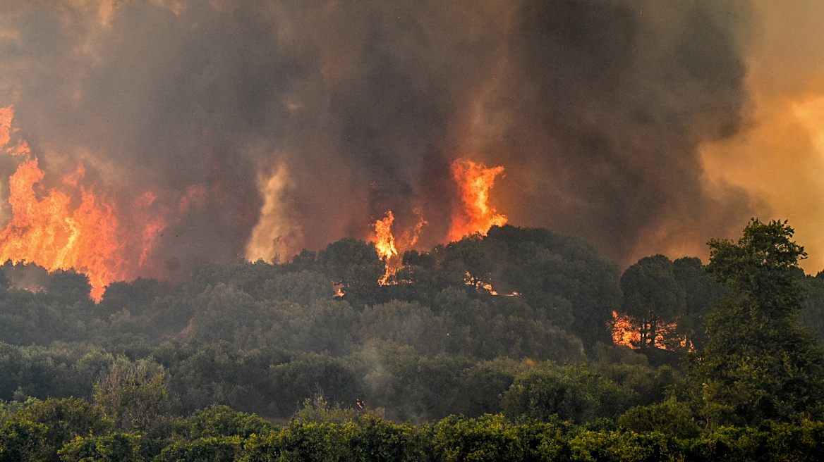 Φωτιά στον Ωρωπό