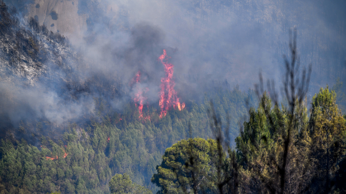 Υψηλός κίνδυνος πυρκαγιάς και την Τρίτη - Δείτε χάρτη