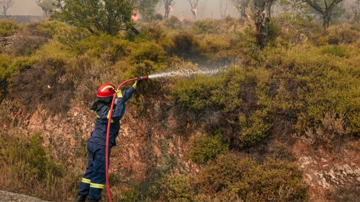 Υπό έλεγχο τέθηκε η φωτιά σε δασική έκταση στο Άνω Γραμματικό Έδεσσας