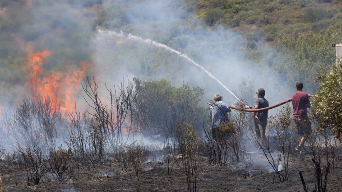 Πυροσβεστική: 34 πυρκαγιές το τελευταίο 24ωρο - Δύο συλλήψεις σε Εύβοια και Τρίκαλα