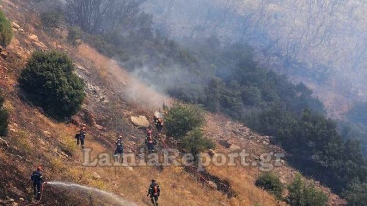 Λαμία: Υπό έλεγχο η φωτιά στην Καμηλόβρυση - Δείτε βίντεο, φωτογραφίες