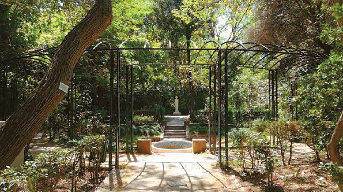 Έκλεισε ο Εθνικός Κήπος λόγω ισχυρών ανέμων - Κλειστός για κίνδυνο πυρκαγιάς και ο Λυκαβηττός
