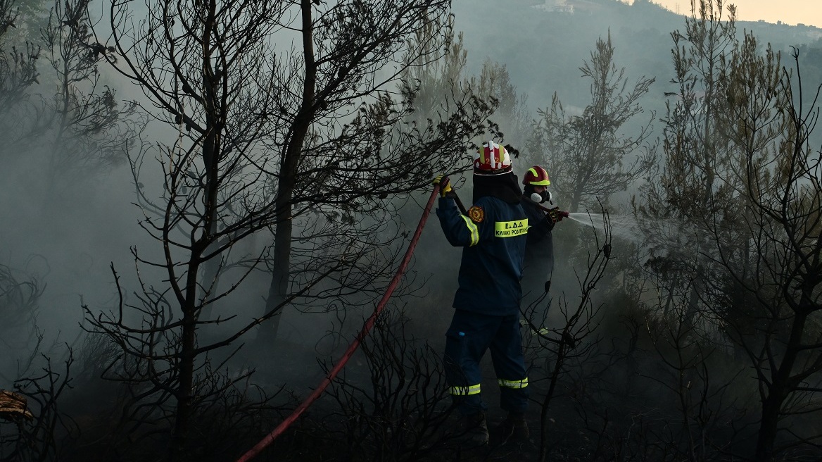 Συλλήψεις και πρόστιμα για φωτιές σε Κοζάνη, Φθιώτιδα, Μαγνησία, Δράμα, Καρδίτσα, Θεσσαλονίκη και Αχαΐα