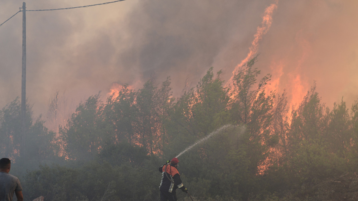 Φωτιά στο Βαρθολομιό Ηλείας