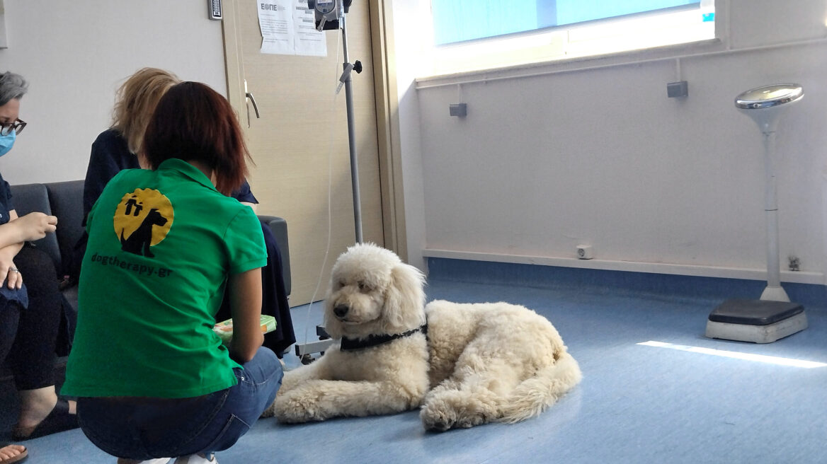 Πώς ένας σκύλος βοηθά ασθενείς με καρκίνο -Μία μέρα στο ογκολογικό με τον Βαγγέλη