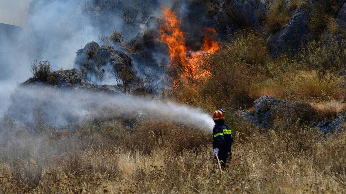 Υπό μερικό έλεγχο η φωτιά κοντά στην Ακρόπολη Λίνδου - Είχε σταλεί προειδοποιητικό 112
