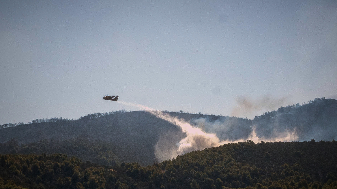 Υπό έλεγχο η φωτιά στο Σταυράκι Ιωαννίνων