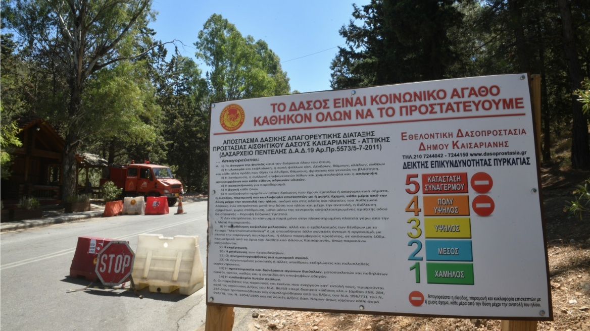 Καιρός: Ζέστη και ισχυροί βοριάδες - Υψηλός κίνδυνος πυρκαγιάς σε 17 περιοχές 