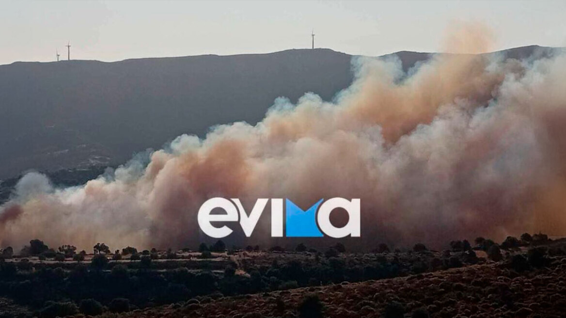 Εύβοια: Χωρίς ενεργό μέτωπο η φωτιά στα Μεσοχώρια - Καλύτερη η εικόνα στους Ζάρακες