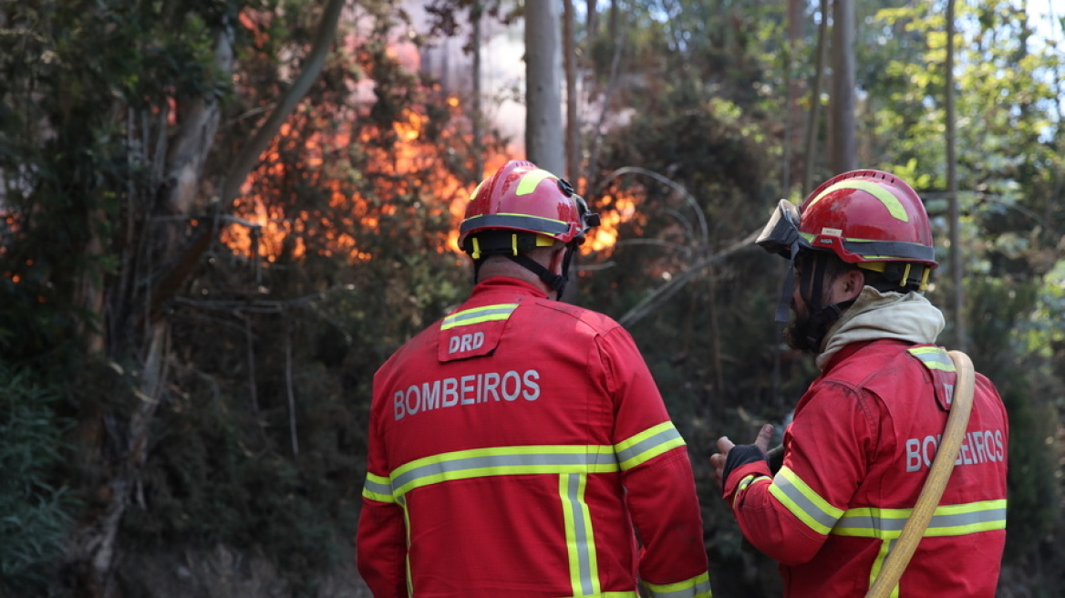 Υπό έλεγχο μετά από δύο βδομάδες η πυρκαγιά στη Μαδέρα - Δεν άφησε πίσω της θύματα 
