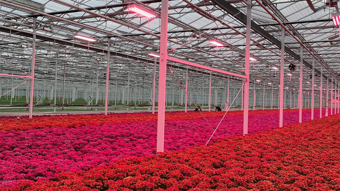 Γιατί ο Κυριάκος Μητσοτάκης μίλησε για θερμοκήπια στη ΔΕΘ