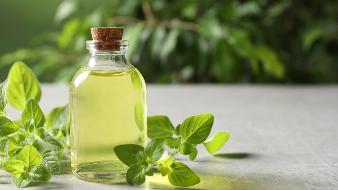 Οι ευεργετικές ιδιότητες της ρίγανης και του ριγανελαίου