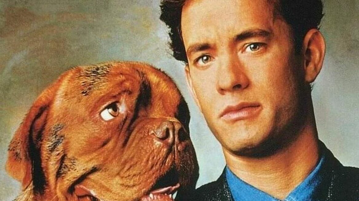 5 συγκινητικές ταινίες με σκύλους που πρέπει οπωσδήποτε να δείτε