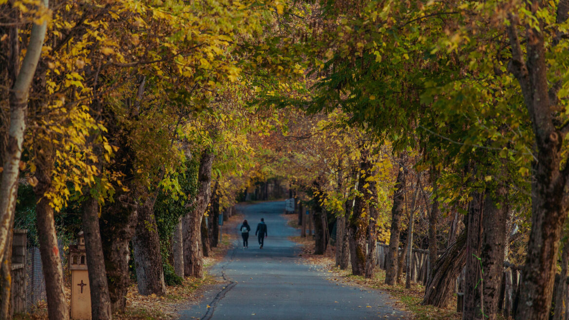 Βυτίνα: Αξιοθέατα και φυσιολατρικές διαδρομές στο μαγευτικό τοπίο της ορεινής Αρκαδίας