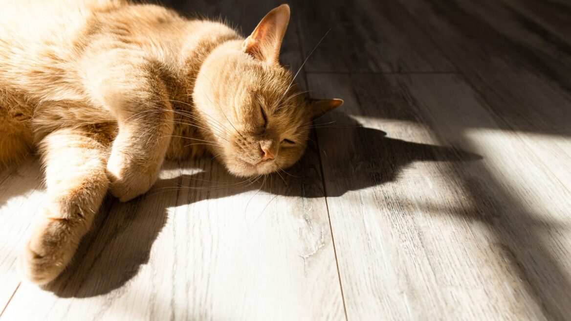 Όσα πρέπει να ξέρετε για τον καρκίνο του δέρματος από την υπεριώδη ακτινοβολία