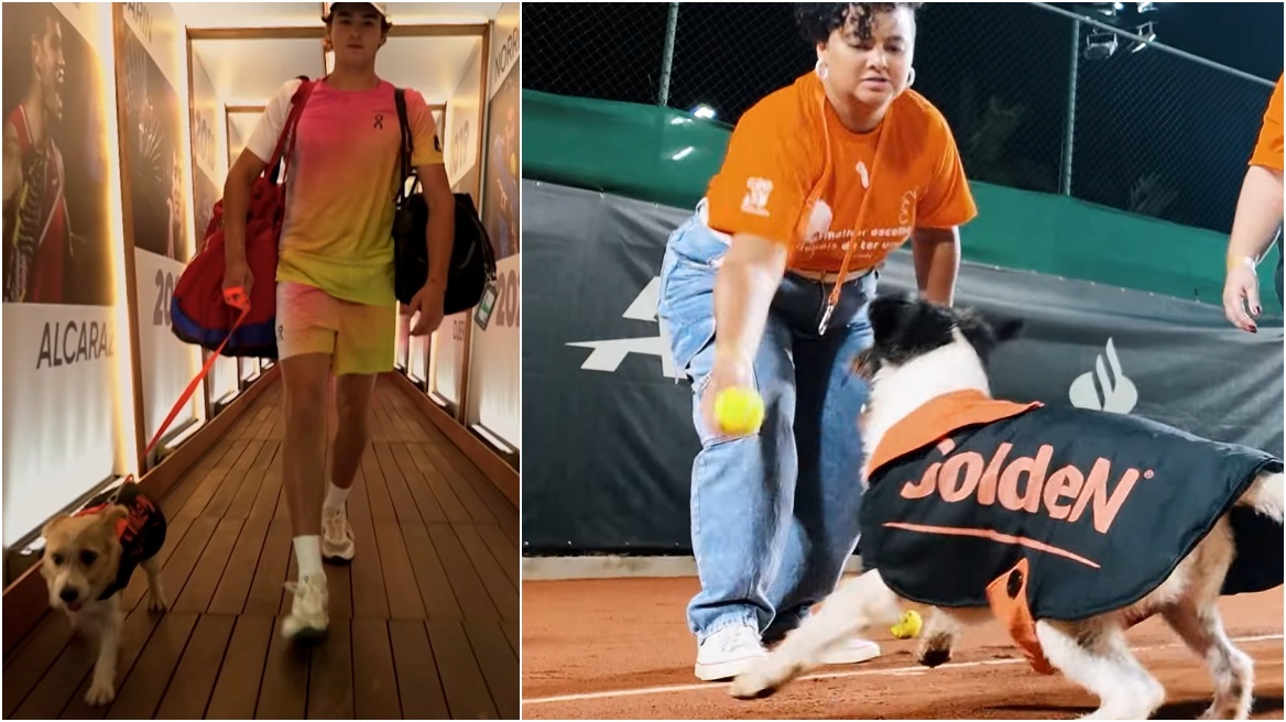 Rio Open: Σκύλοι... αντικατέστησαν τα ball kids με στόχο την ευαισθητοποίηση για την υιοθεσία κατοικίδιων ζώων - Βίντεο