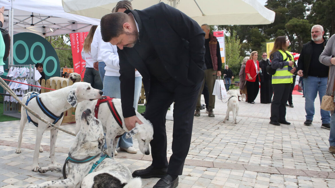 Ο Νίκος Χαρδαλιάς στη μεγάλη γιορτή για τα κατοικίδια, Woof Festival | topetmou.gr - Δείτε φωτογραφίες