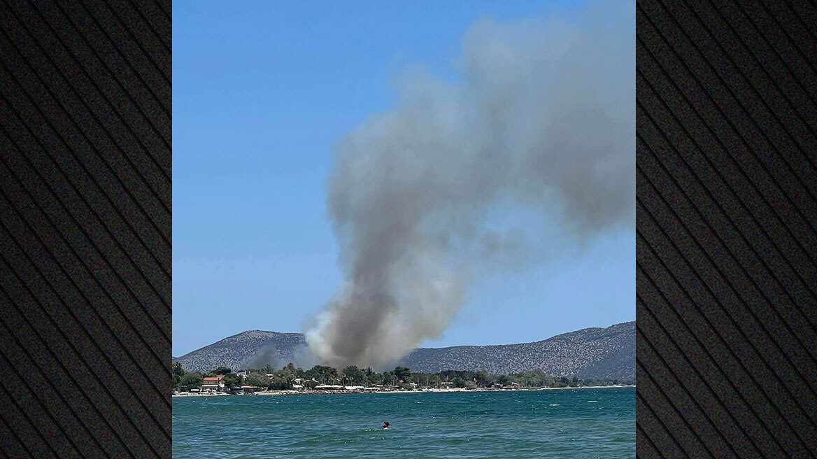 Υπό μερικό έλεγχο η φωτιά στον Μαραθώνα


