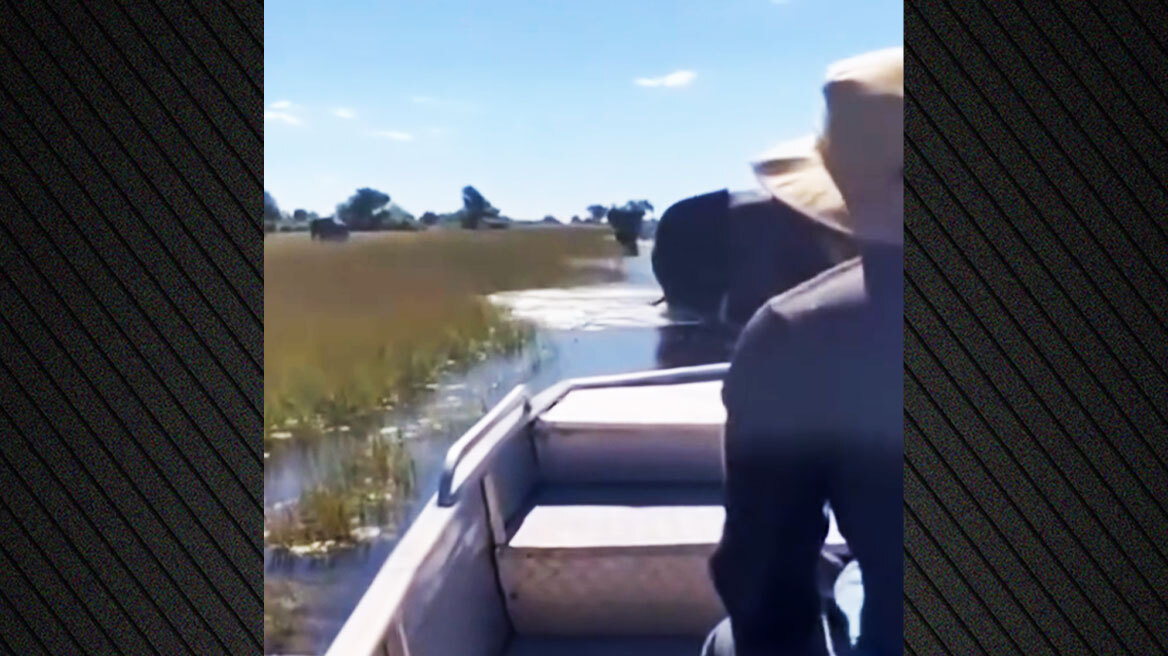 Eλέφαντας επιτίθεται σε βάρκα με Βρετανούς τουρίστες που έκαναν σαφάρι στην Μποτσουάνα - Δείτε βίντεο 
