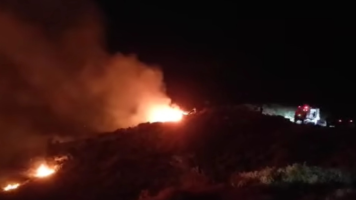 Φωτιά σε δασώδη έκταση κοντά στα Ανώγεια στο Ρέθυμνο - Δείτε βίντεο