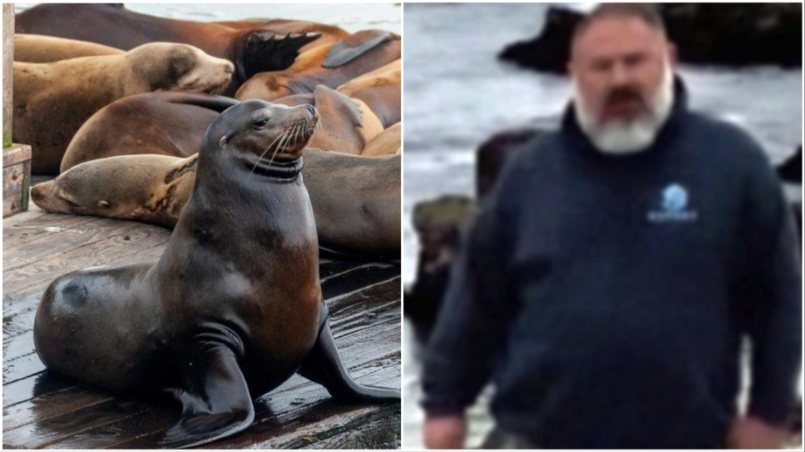 Καταζητείται άνδρας που αποκεφάλισε φώκια στην Καλιφόρνια 