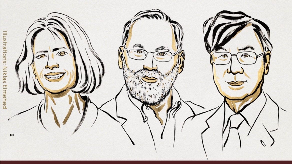 Για τους μηχανισμούς που εμποδίζουν τα αυτοάνοσα το φετινό Νόμπελ Ιατρικής