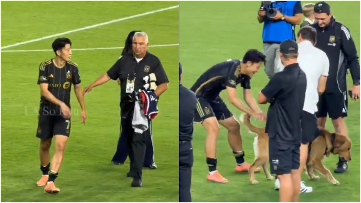 Ο Σον κλέβει τις εντυπώσεις: Έτρεξε να αγκαλιάσει τη μασκότ-σκύλο της LAFC και «έριξε» το διαδίκτυο! - Βίντεο
