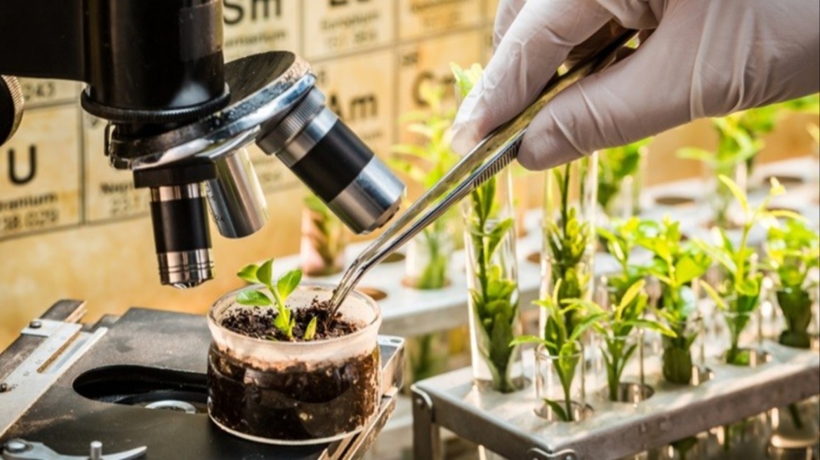 Συμφωνία στην ΕΕ για την ανάπτυξη νέας γενιάς γενετικά τροποποιημένων οργανισμών στη γεωργία 