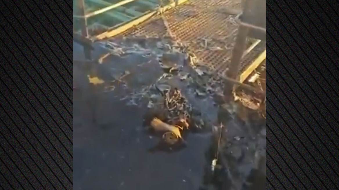 Οι Ουκρανοί κατηγορούν τους Ρώσους ότι επιτέθηκαν με drone σε τουρκικό εμπορικό πλοίο στη Μαύρη Θάλασσα, δείτε βίντεο