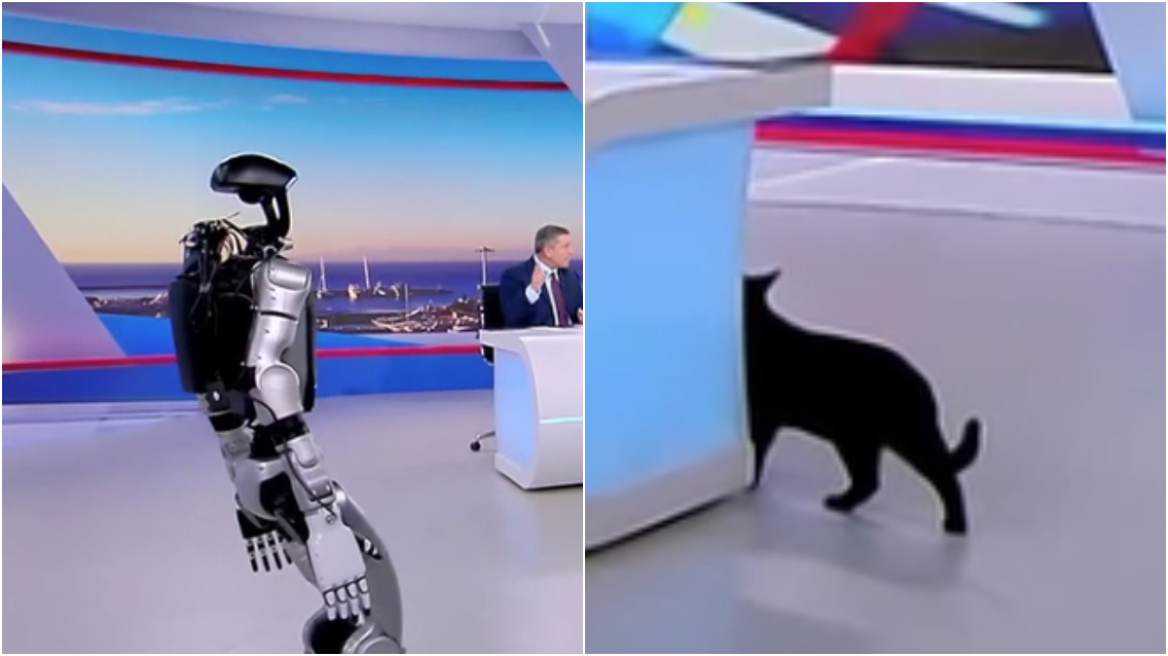 «Αναστάτωση» στο πλατό του ΣΚΑΪ με το ρομπότ Σοφία, τρόμαξε ο γάτος της εκπομπής, πήγε να κρυφτεί και εν τέλει έφυγε
