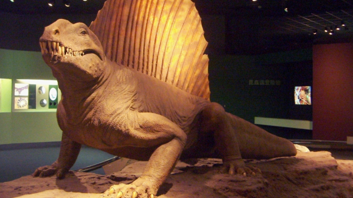 Ποιοι ήταν οι υπερ-θηρευτές που κυριαρχούσαν στη Γη πριν από τους δεινόσαυρους και χάθηκαν στον «Μεγάλο Αφανισμό» 