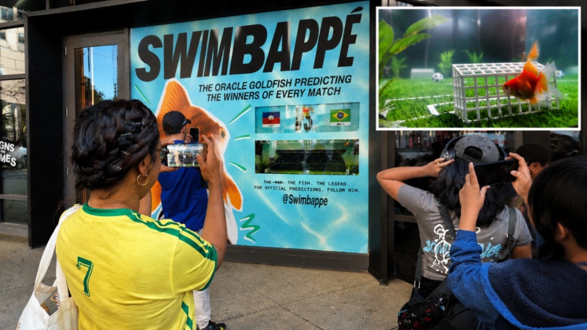 «Swimbappe»: Το χρυσόψαρο που προβλέπει αγώνες Μουντιάλ στο Τορόντο και γίνεται viral, δείτε βίντεο 