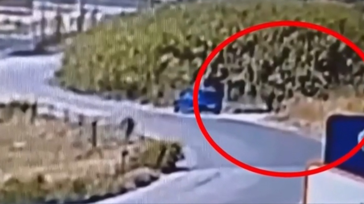 Κακουργηματική δίωξη στον 59χρονο για έξι φωτιές στη Σίνδο: «Τις έβαζα για να ξεδίνω από τη δουλειά» 