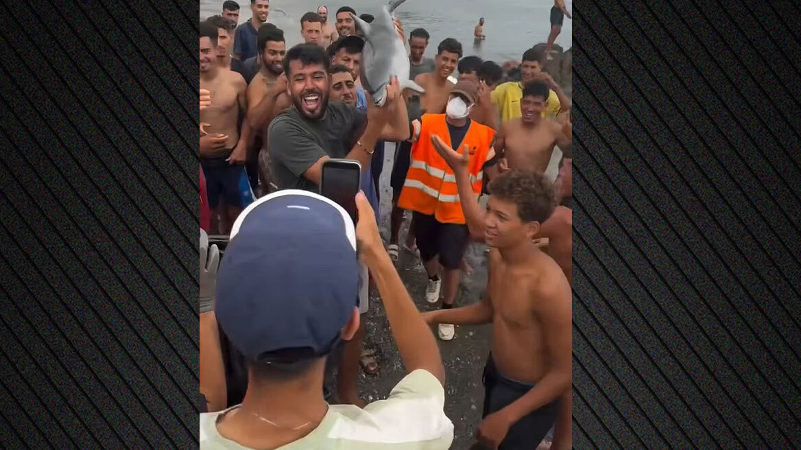 Οργή στη Θέουτα: Μετανάστες κατηγορούνται ότι χτύπησαν μέχρι θανάτου μικρό δελφίνι, δείτε τα βίντεο