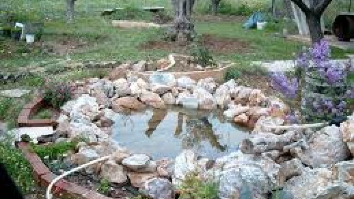 Επιμένει η Ουκρανία στην επιχείρηση κατά των αυτονομιστών