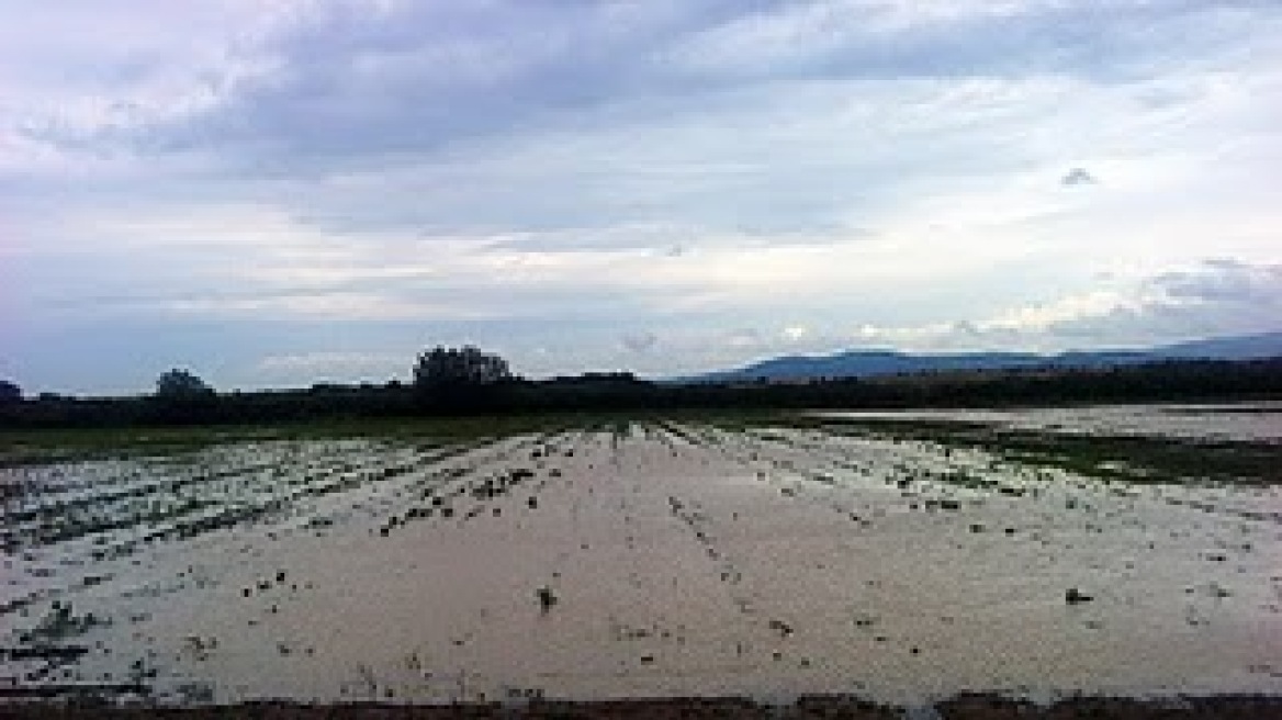 Φόρος από το πρώτο ευρώ για όλους τους αγρότες