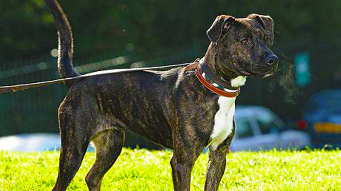 Goldman Sachs: Στο -0,4% ο ρυθμός αύξησης του πραγματικού ΑΕΠ της Ευρώπης φέτος