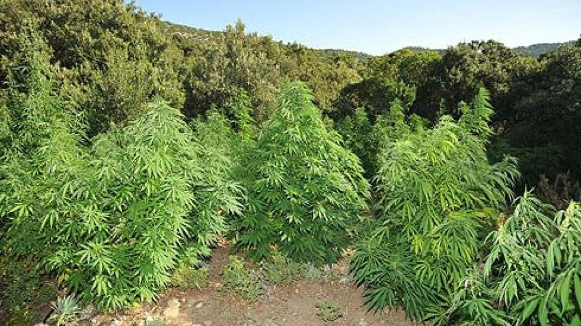 Λήστεψε ηλικιωμένη με… πλαστικό πιστόλι