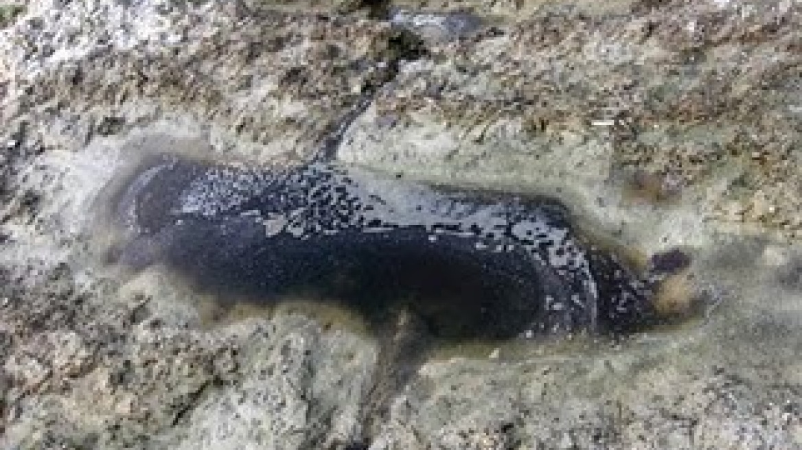 Λαμία: Περιπτεράς πουλούσε λαθραία τσιγάρα και καπνό