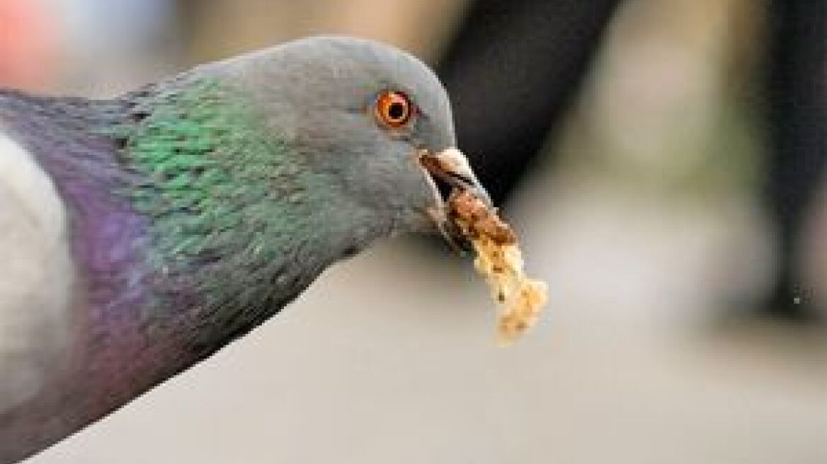 Χανιά: Άγιο είχε οδηγός - Τούμπαρε το αυτοκίνητο αλλά σώθηκε