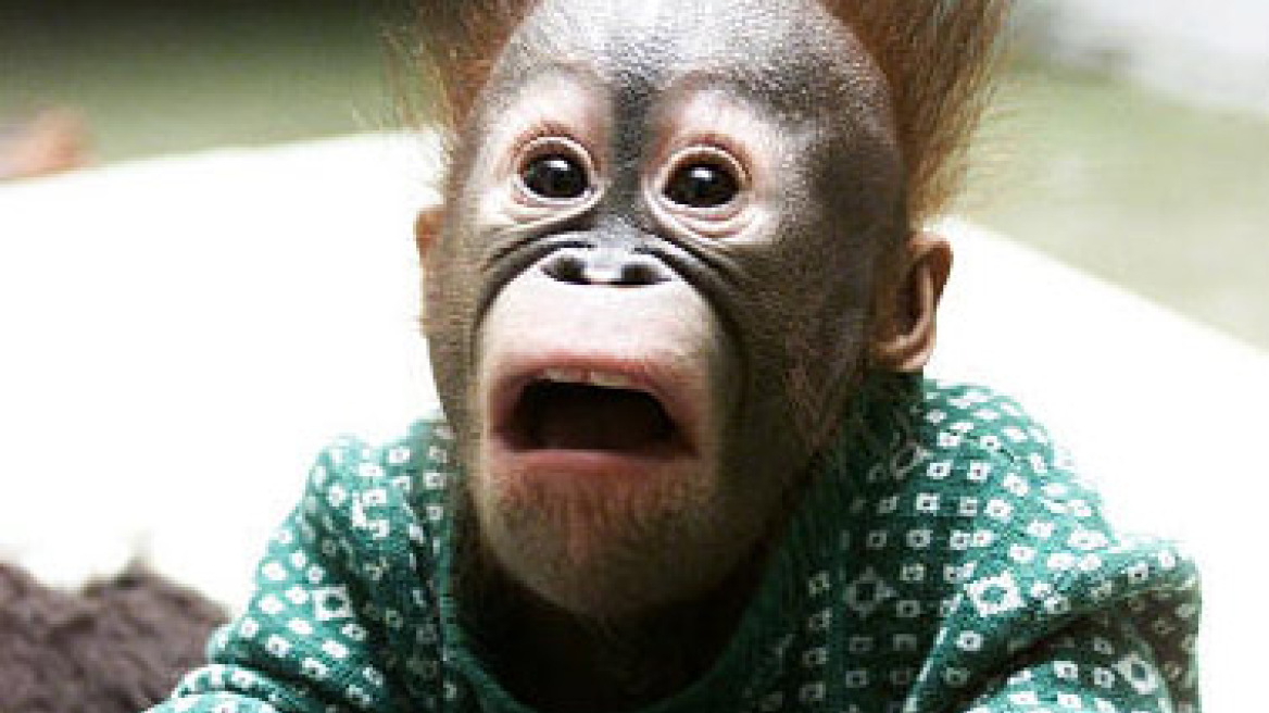 Χανιά: Αγνοείται 73χρονος Βρετανός, πρώην εκπαιδευτής του στρατού