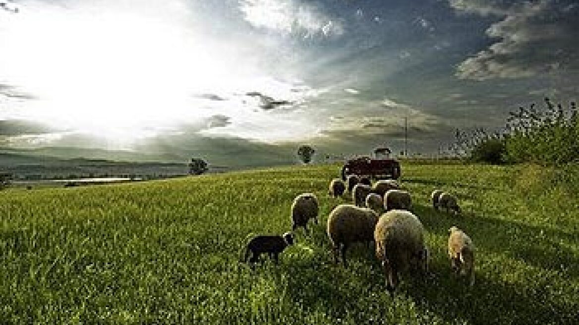 LIVE: ΗΠΑ-Γκάνα (2-1, τελικό)