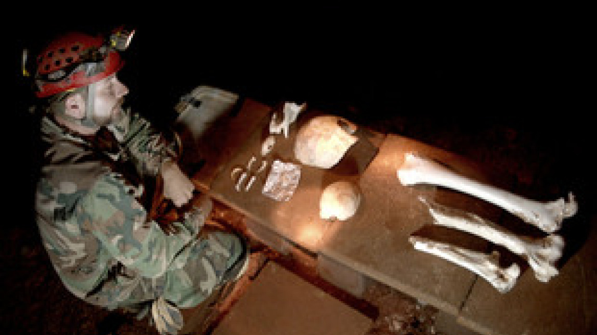 Ο δασοφύλακας ήταν και χασισοκαλλιεργητής!