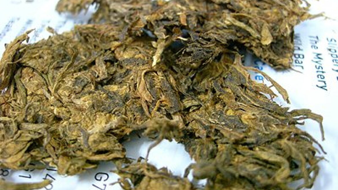 Στέφενς: «Από εμάς εξαρτάται»