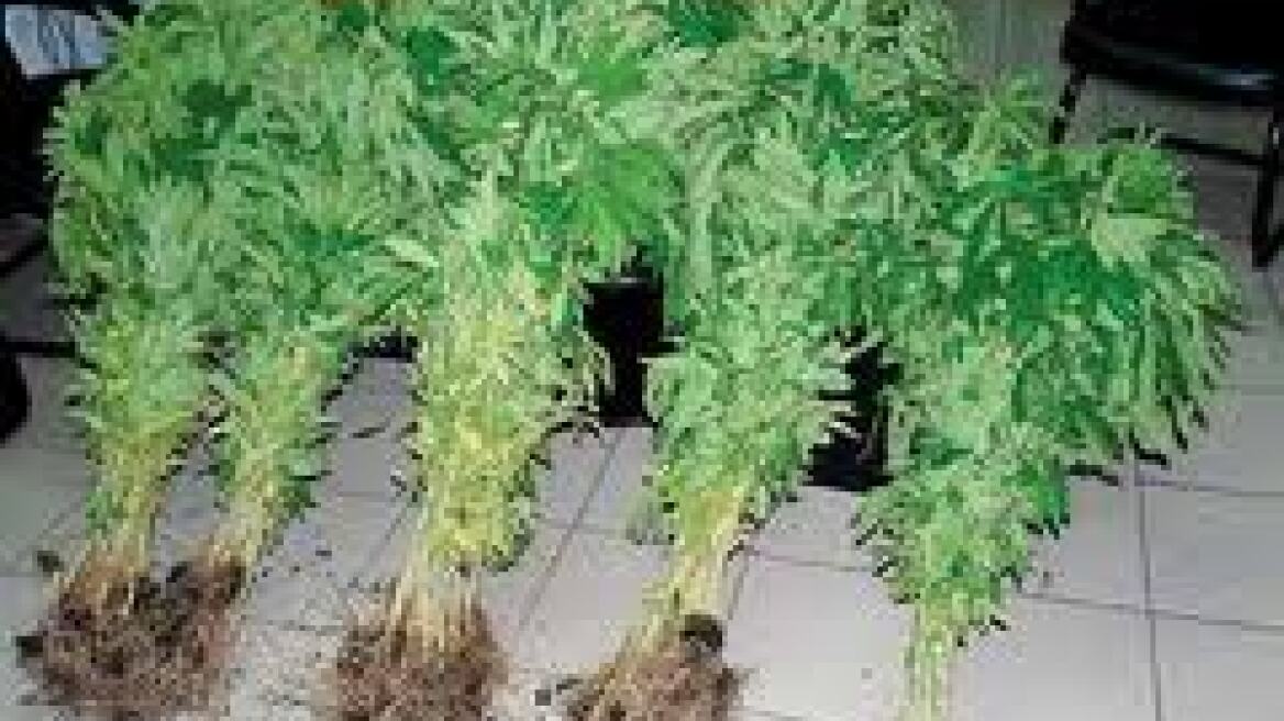 Ήττες για Έλληνες, Σπερς και Μπουλς