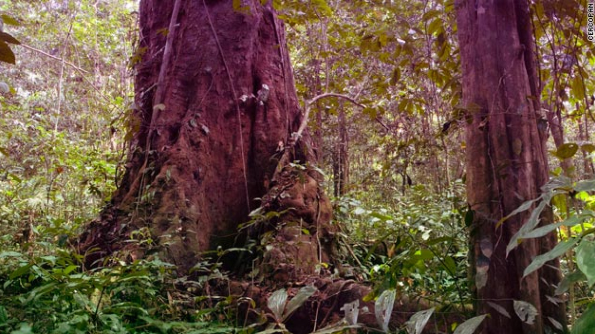 Του… σεντονιού, μέρος δεύτερο!