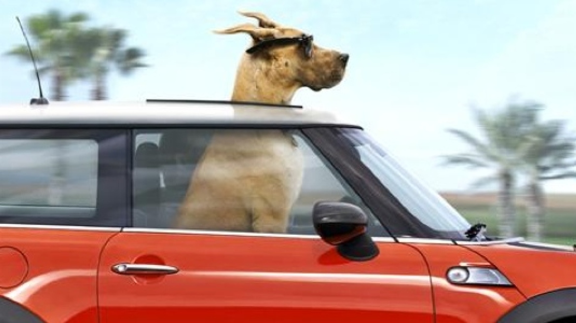 Συνελήφθη φοιτητής με όπλα, κροτίδες και υλικό της Χρυσής Αυγής 