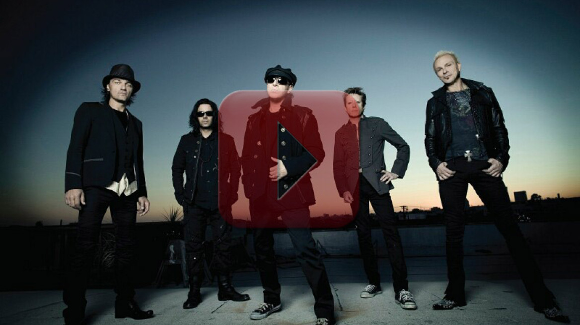 Λύκαινα νεκρή σε τροχαίο στην Καστοριά