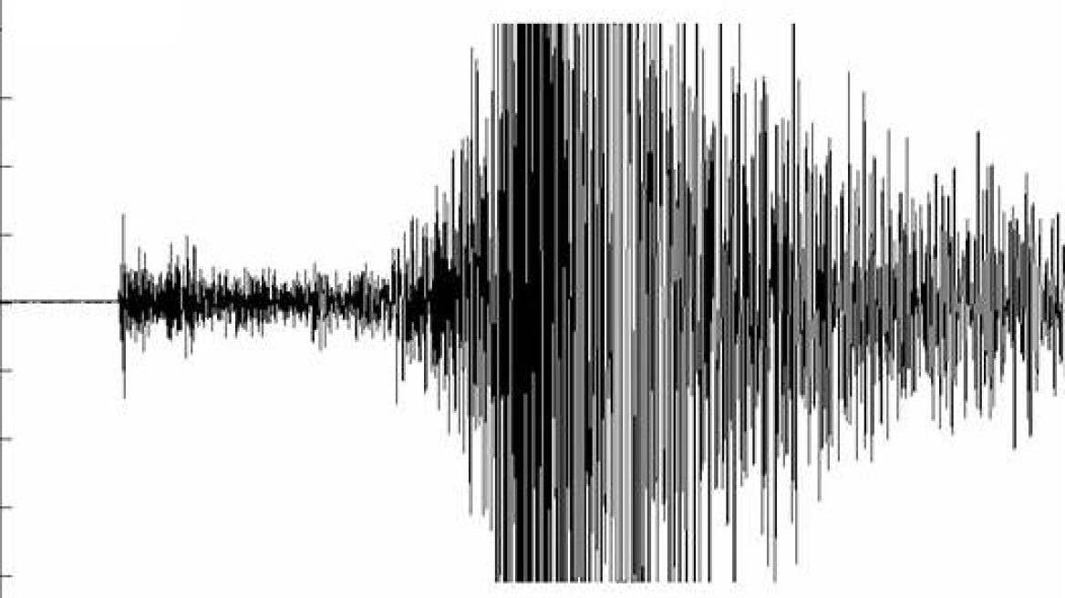 Στο «σφυρί» οι σκελετοί δύο δεινοσαύρων έναντι 6 εκατ. στερλινών 