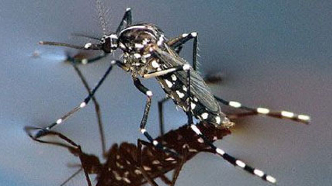 Ανήλικος διακινούσε ηρωίνη στα Ιωάννινα